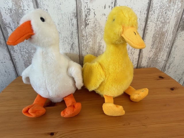2 leuke eenden.  Ze bewegen en kwekken,