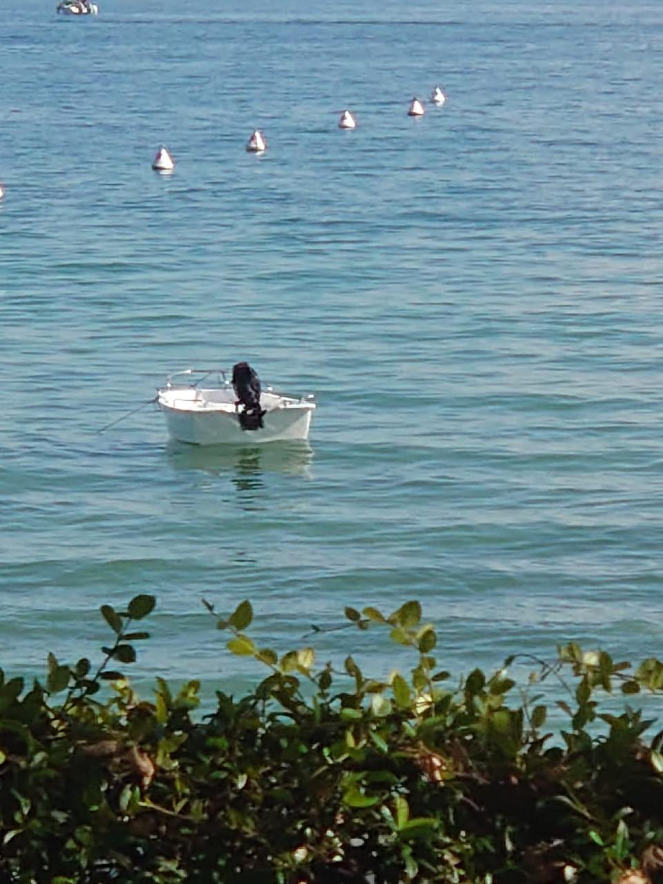 Leuk bootje met trailer en fourstroke motor