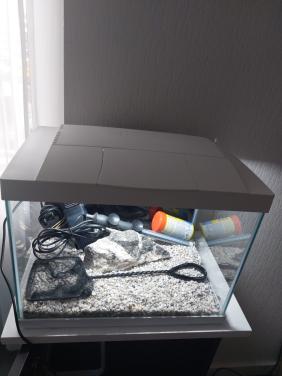 Superfish start 20 wit