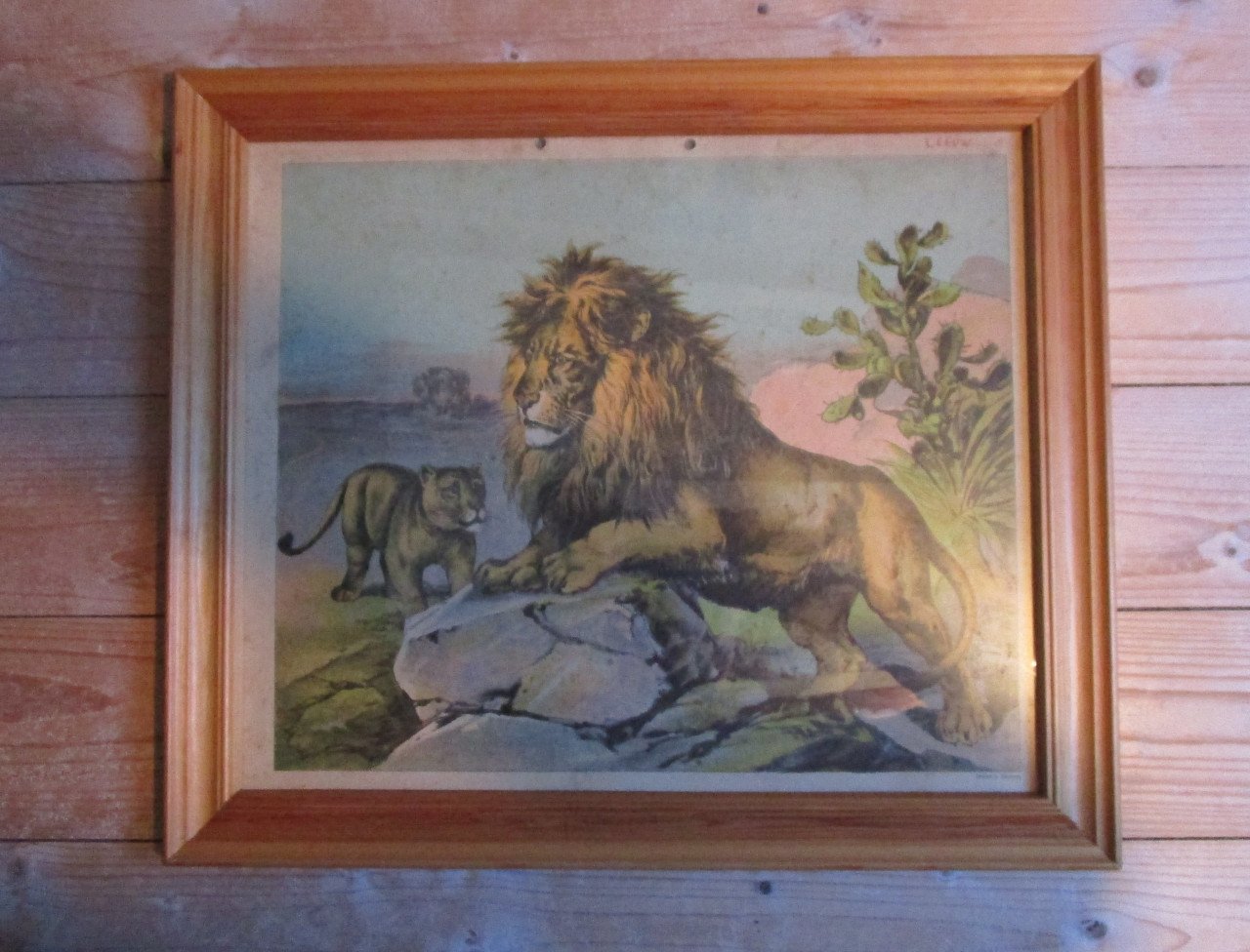 Lijst met leeuwen oude schoolprent achter glas afm:47x41cm.