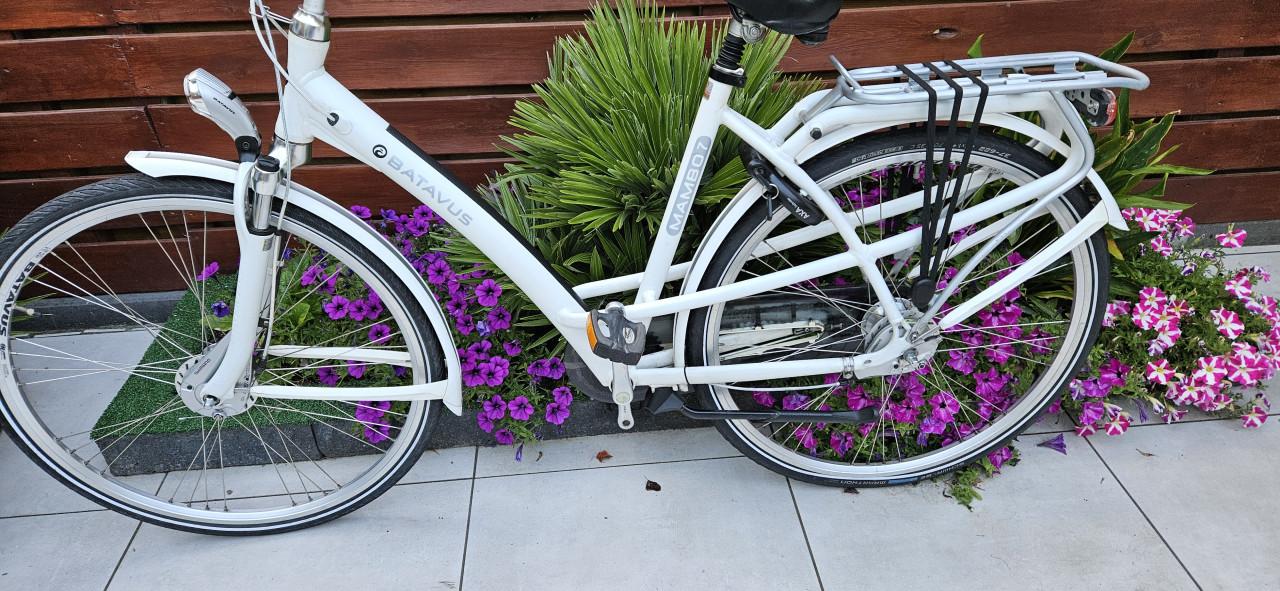 Batavus Mambo  7 Damesfiets