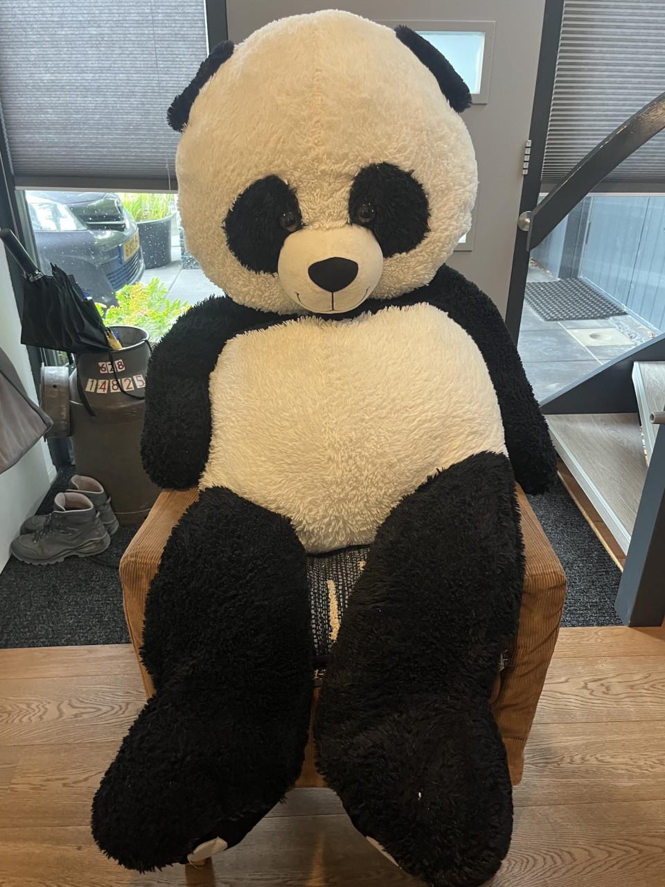 Grote panda beer knuffel