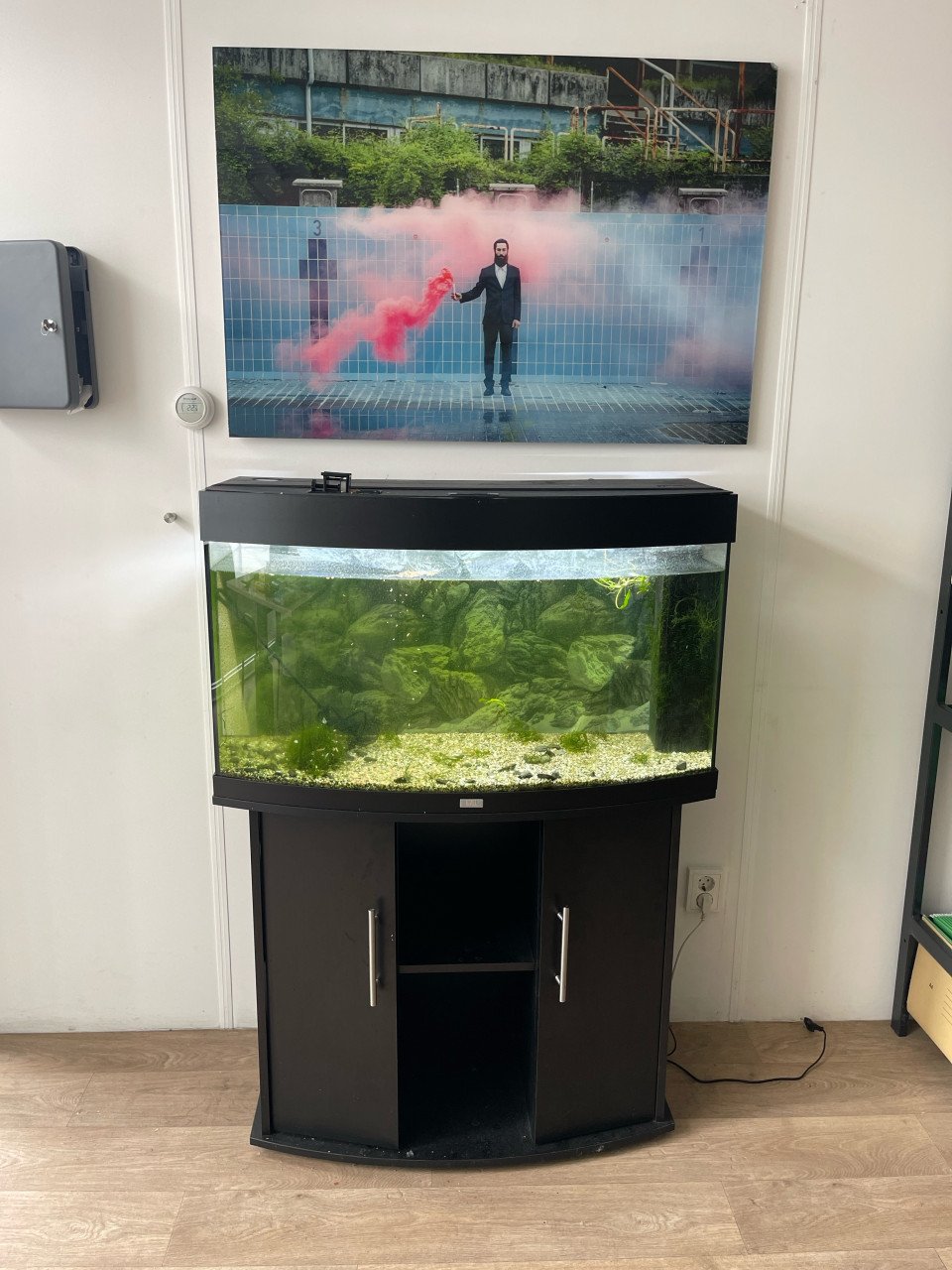 Jewel Vision 180L aquarium incl toebehoren