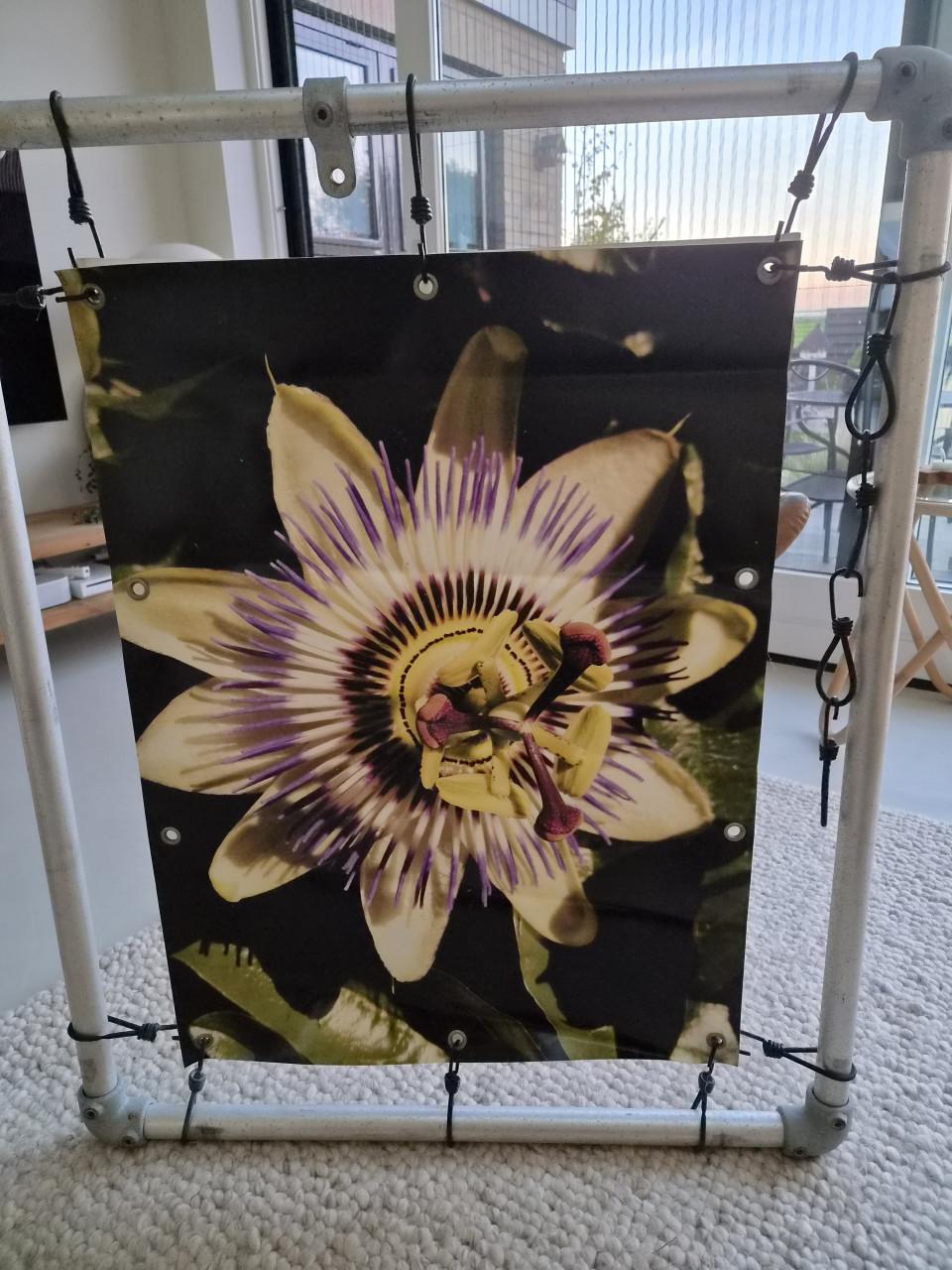 2 tuinposters en steigerbuisframe