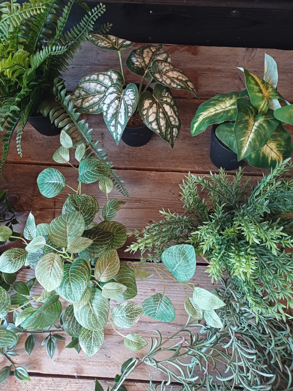 Set van kleine kunst plantjes