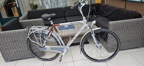 Gazelle Chamonix Plus Herenfiets