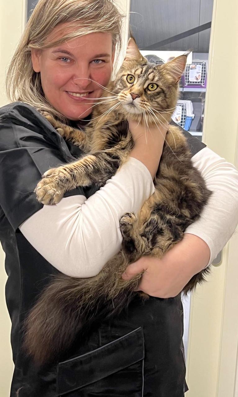 Kattentrimsalon SPA&Shop Lucky Cat 💖🪮✂️🧴🛁🫧🛍️🐱🍀 Aan 🚘🏠😻🇳🇱🇧🇪