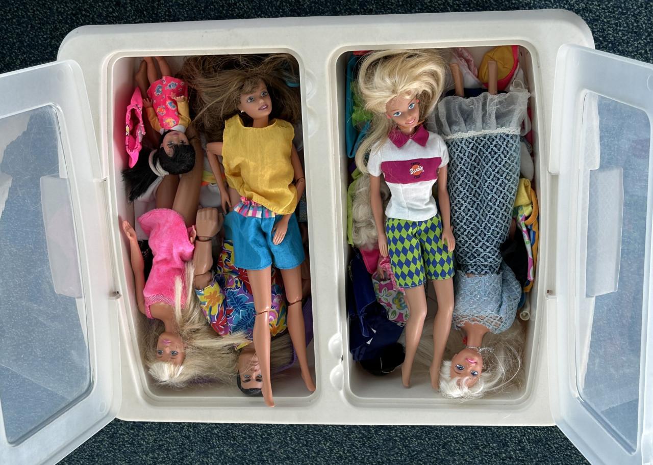 Barbie huis, barbies met veel extra's