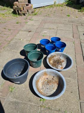 Gratis kweekpotjes en 2 plantenschalen