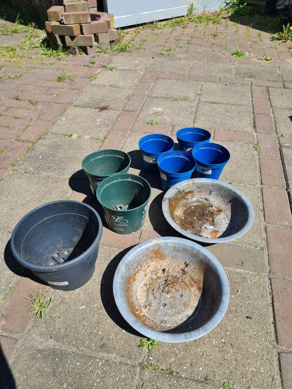 Gratis kweekpotjes en 2 plantenschalen