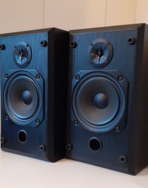 Bowers & Wilkins Vision DS1 stereo speakers