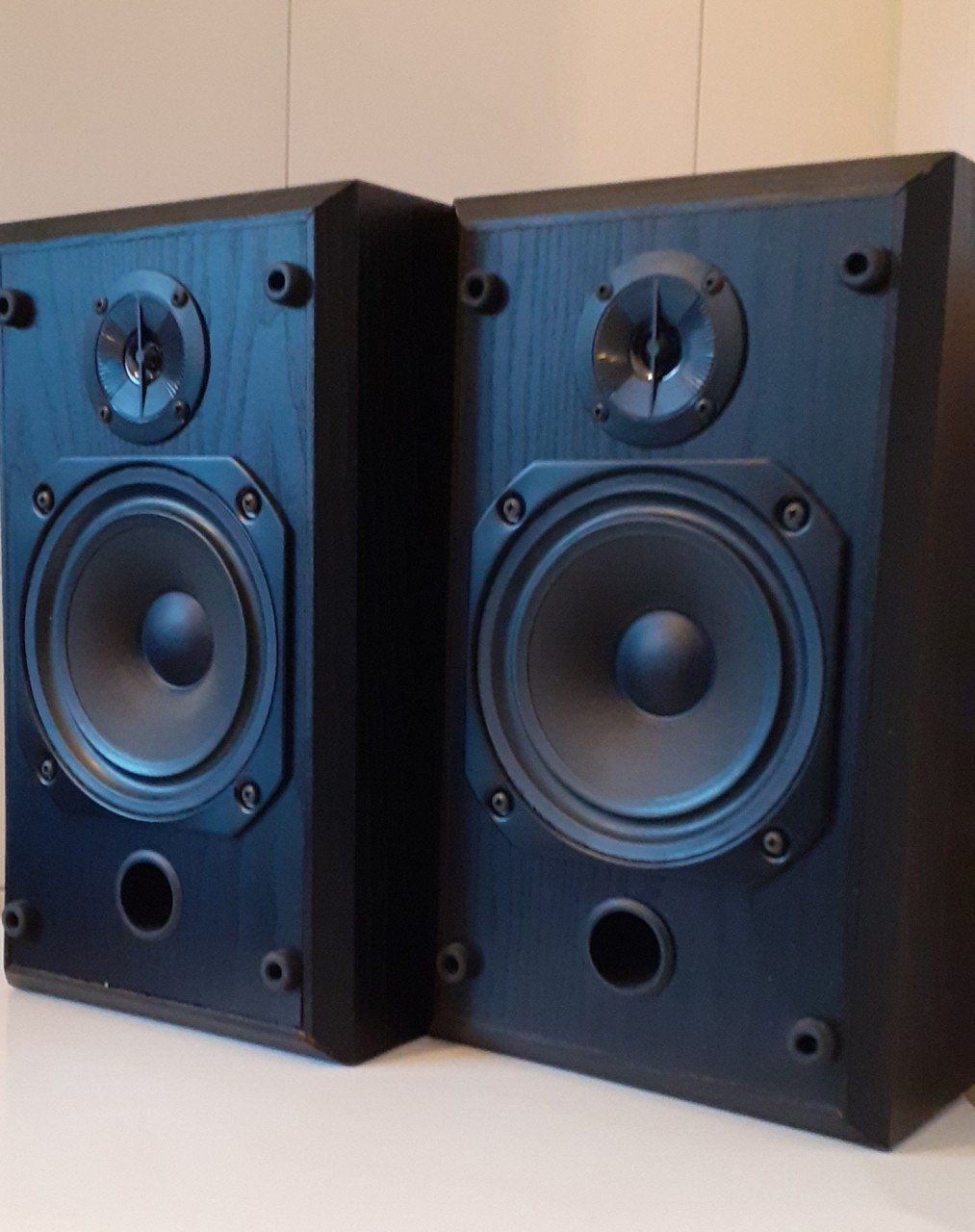 Bowers & Wilkins Vision DS1 stereo speakers