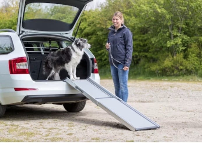 Trixie Loopplank Auto Telescopisch .