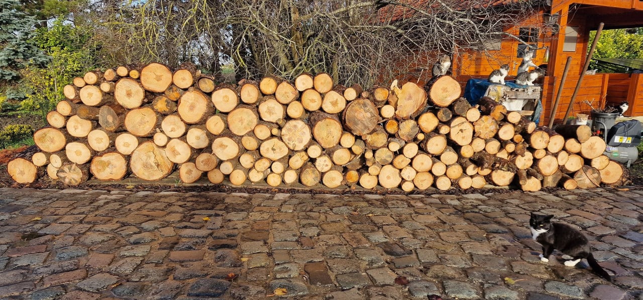 Te koop Haardhout