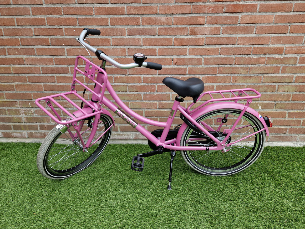 Alpina Cargo 20 inch SUPER STAAT
