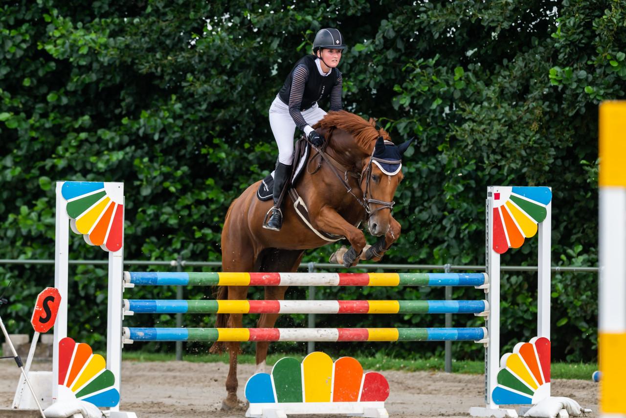 Fanatiek springpaard (merrie)