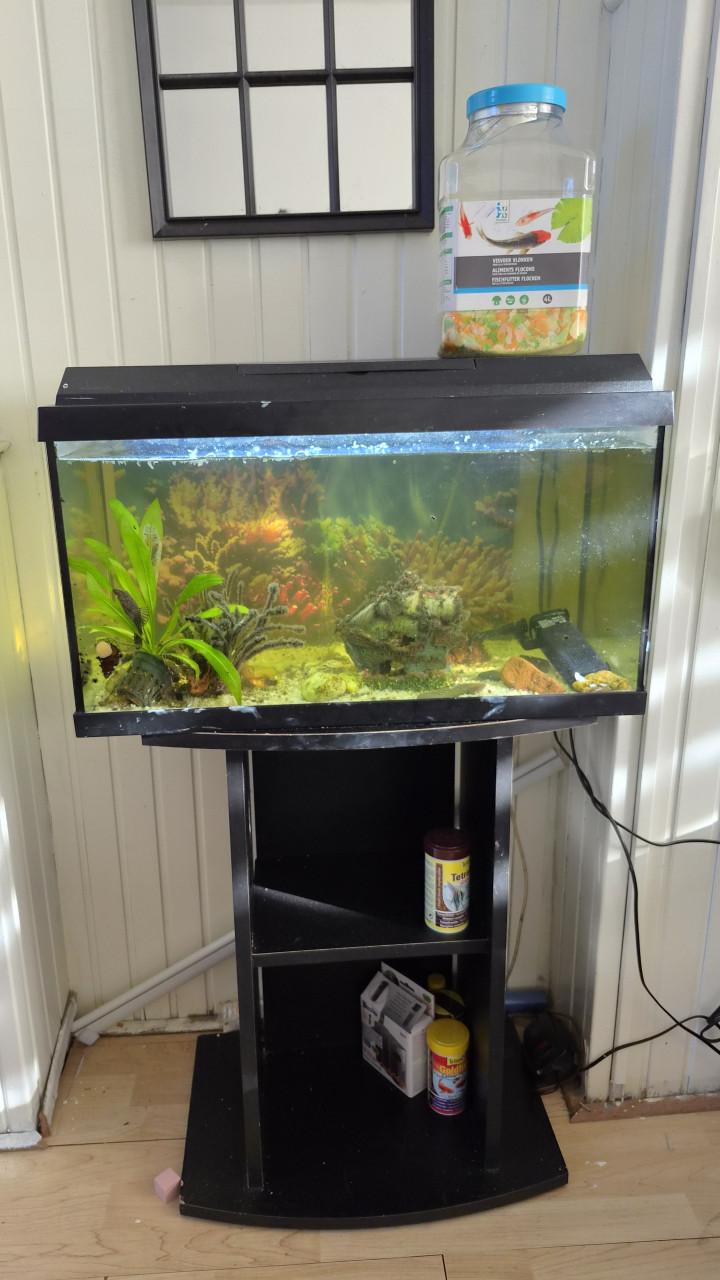 Aquarium