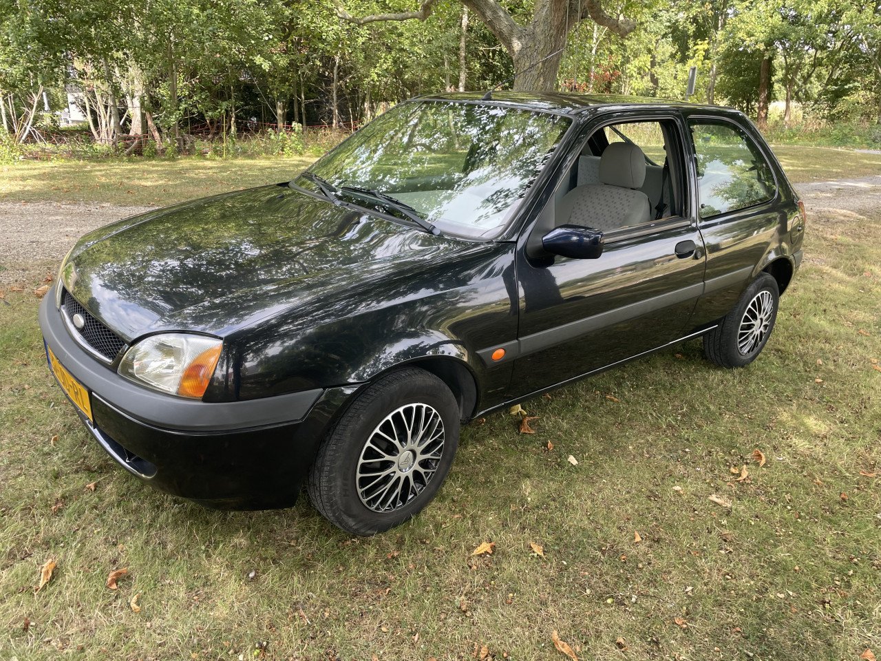 Ford