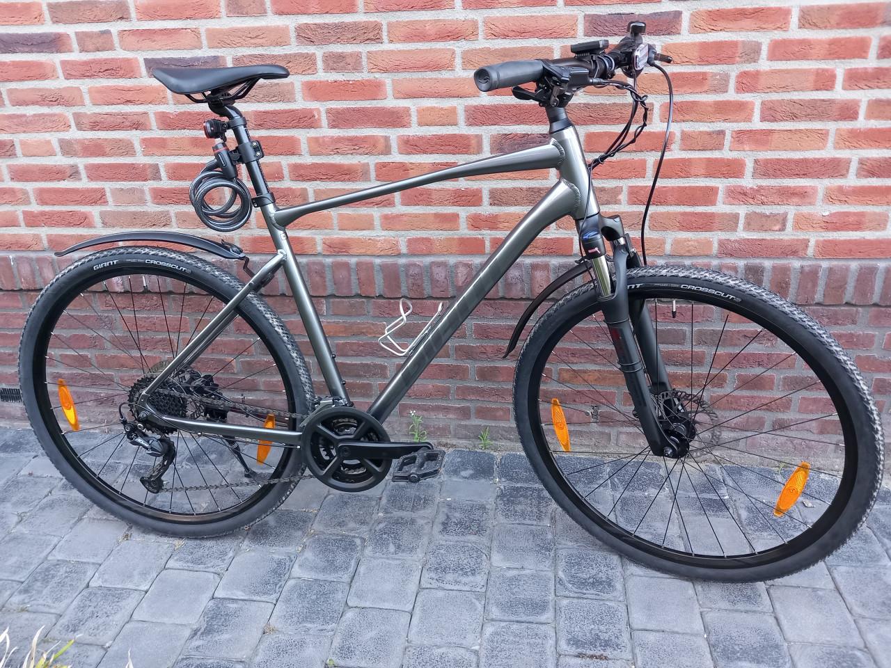 Prachtige mountainbike Giant Roam 2 XL