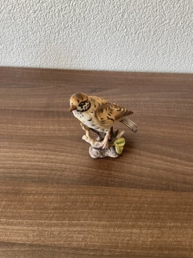 Porseleinen vogel mistle trush