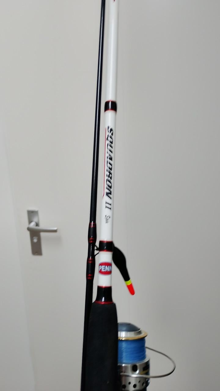 Penn squadron/ Mitchell riptide.  2.70m/2.40m