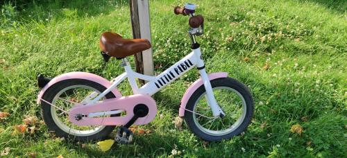 Fietsje 14 inch Popal