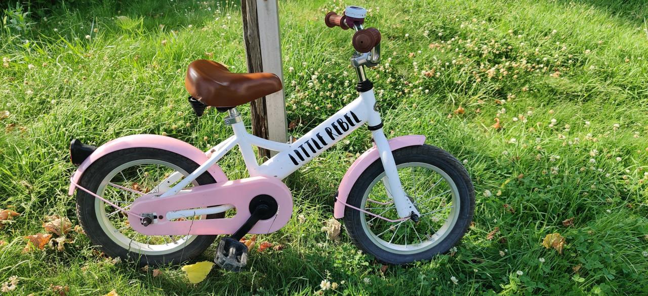 Fietsje 14 inch Popal