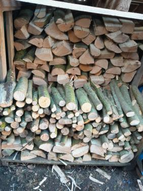 Esdoorn hout VERS GEZAAGD.