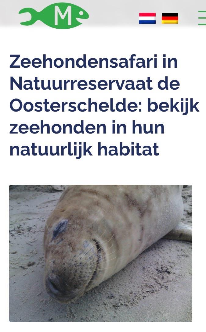 2 pers. Zeehondensafari boottocht 11 oktober 2026 vanaf Bruinisse