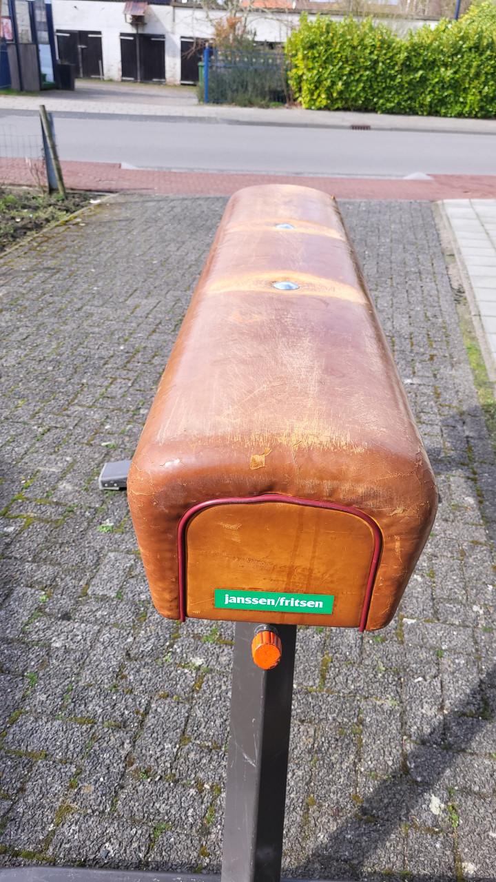 Turnpaard