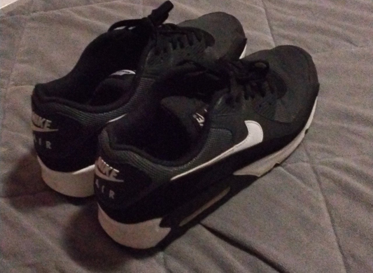 Nike airmax 90