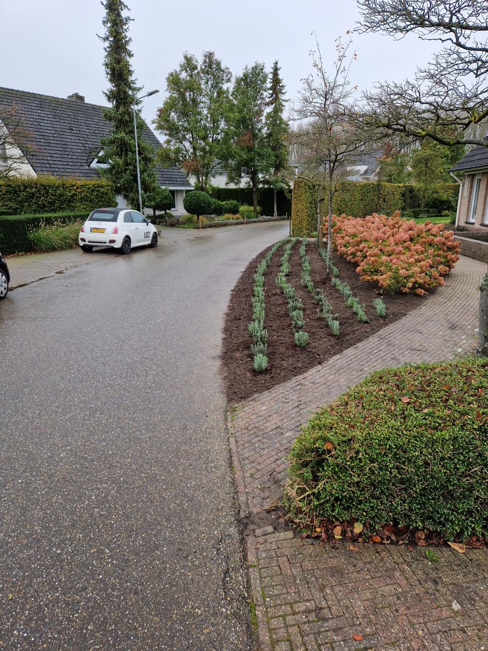 Zoekt u een betrouwbare Hovenier ?