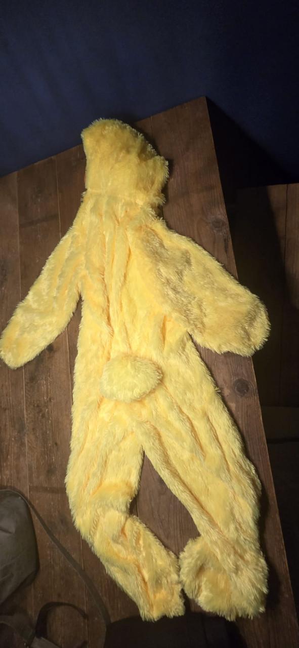 Verkleedpak kip voor volwassen persoon