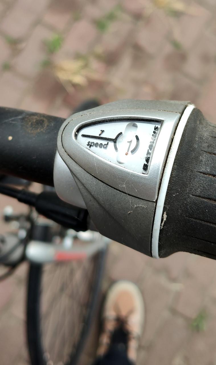 Batavus Bike Stepper Race - Unieke Stepfiets.