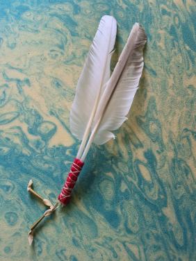 Zwanensmudgeveer en versteend hout