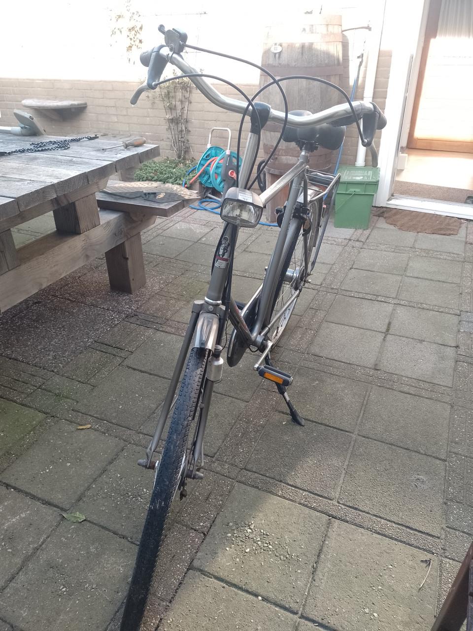 Robuuste Gazelle (slag)