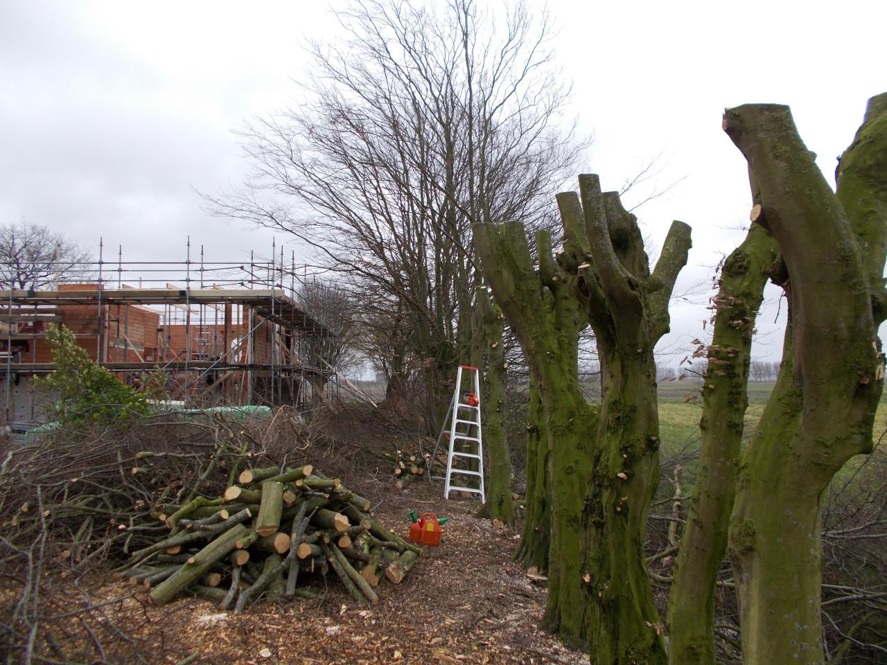 Zoekt u een goede Hovenier ?