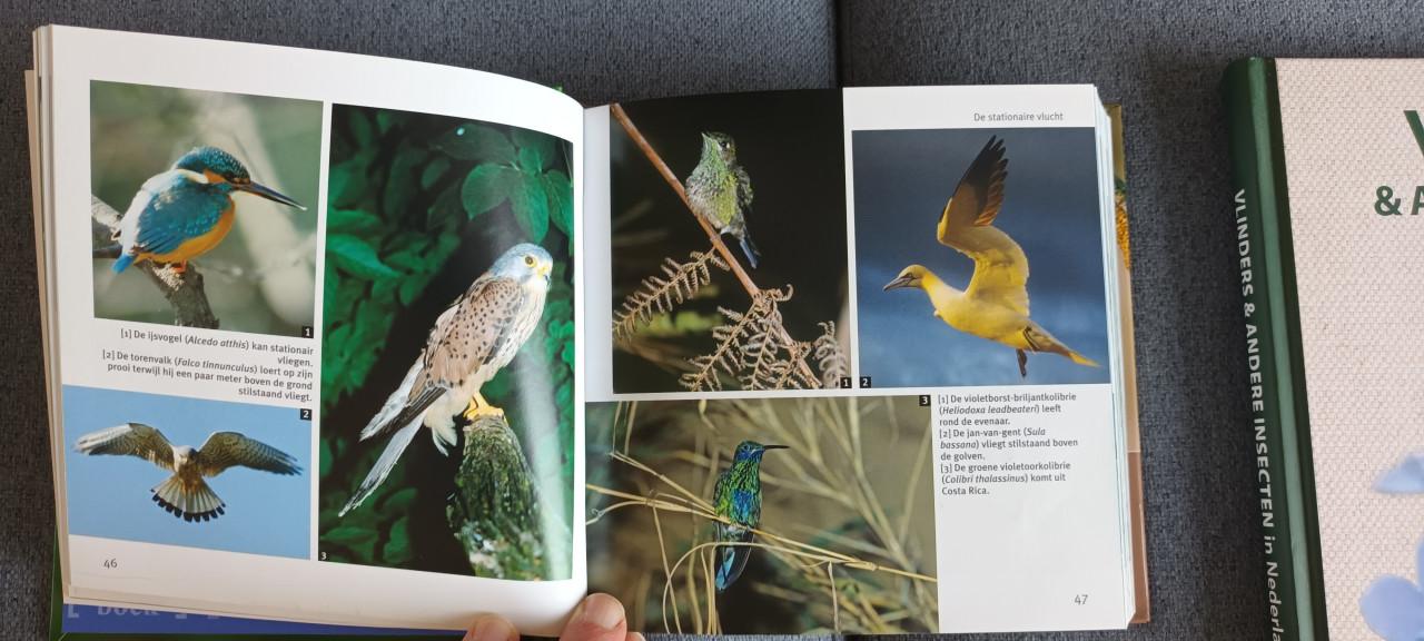 Natuurboeken 4 stuks