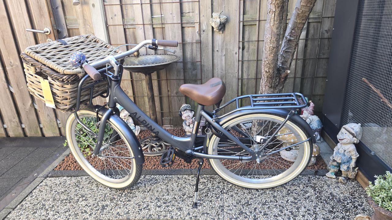 Te koop Alpina 24 inch meisjesfiets