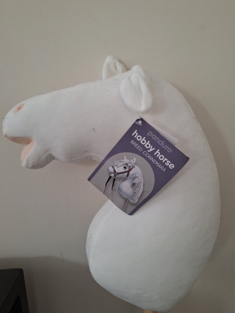 Hobby Horse