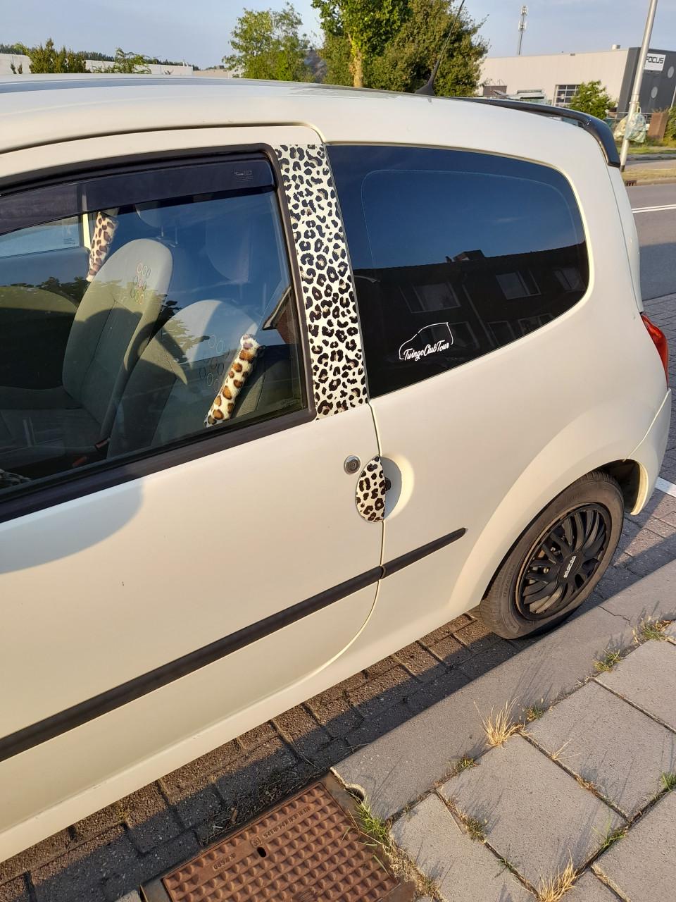 Renault twingo moooiiii