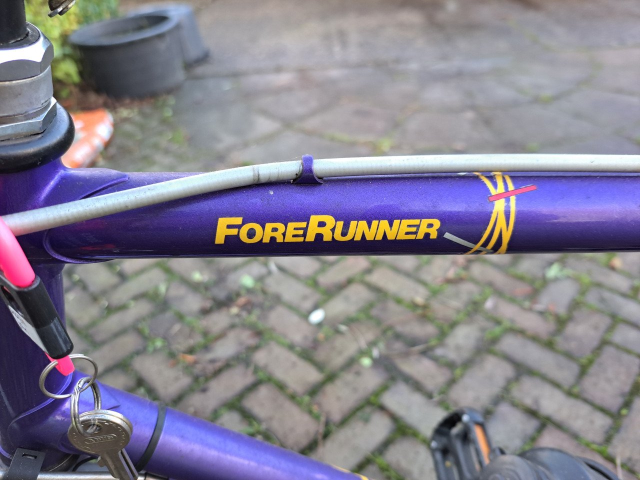 KOGA MYATA HERENFIETS