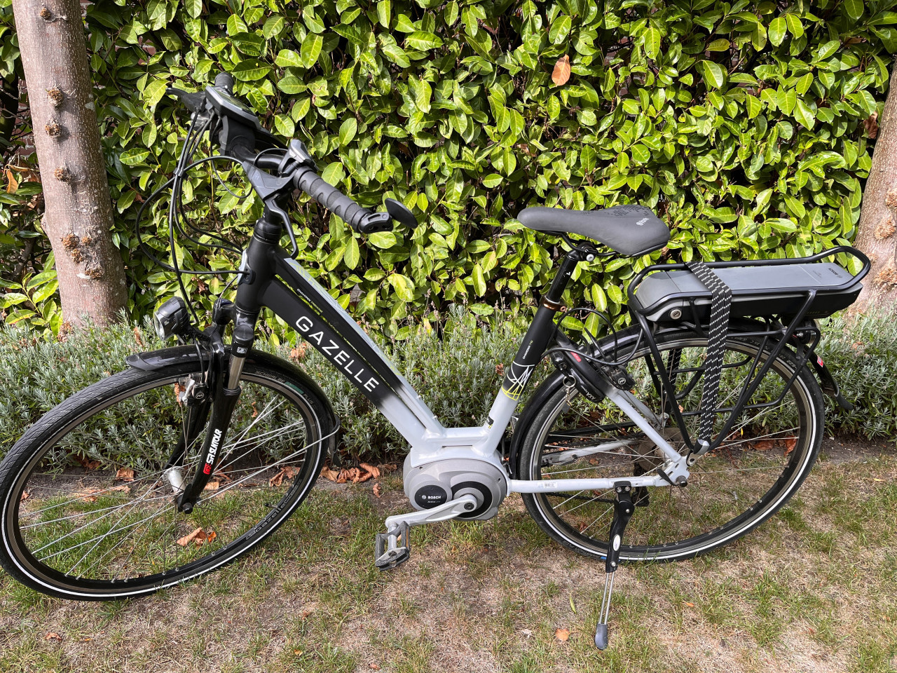 Gazelle Chamonix elektrische damesfiets D49