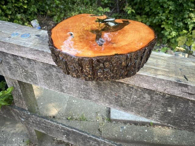 Onderzetter van Taxus hout