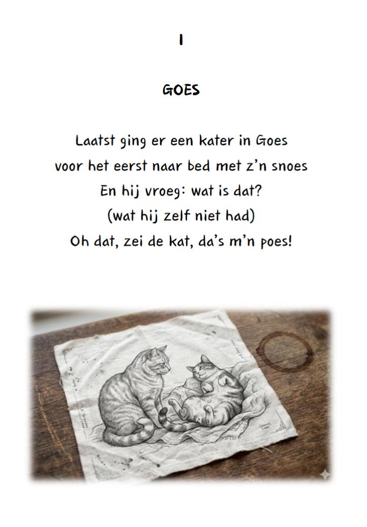 33 originele limericks