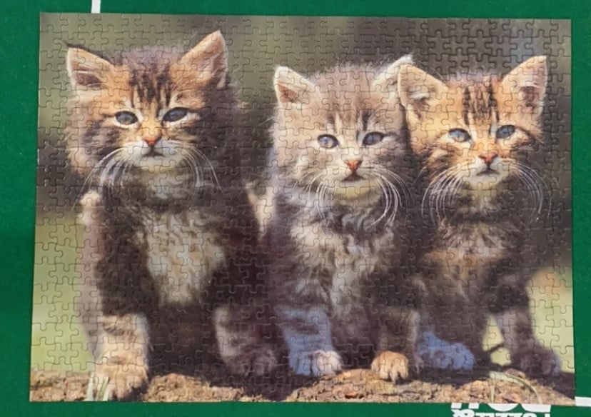 Puzzel van 500 stukjes