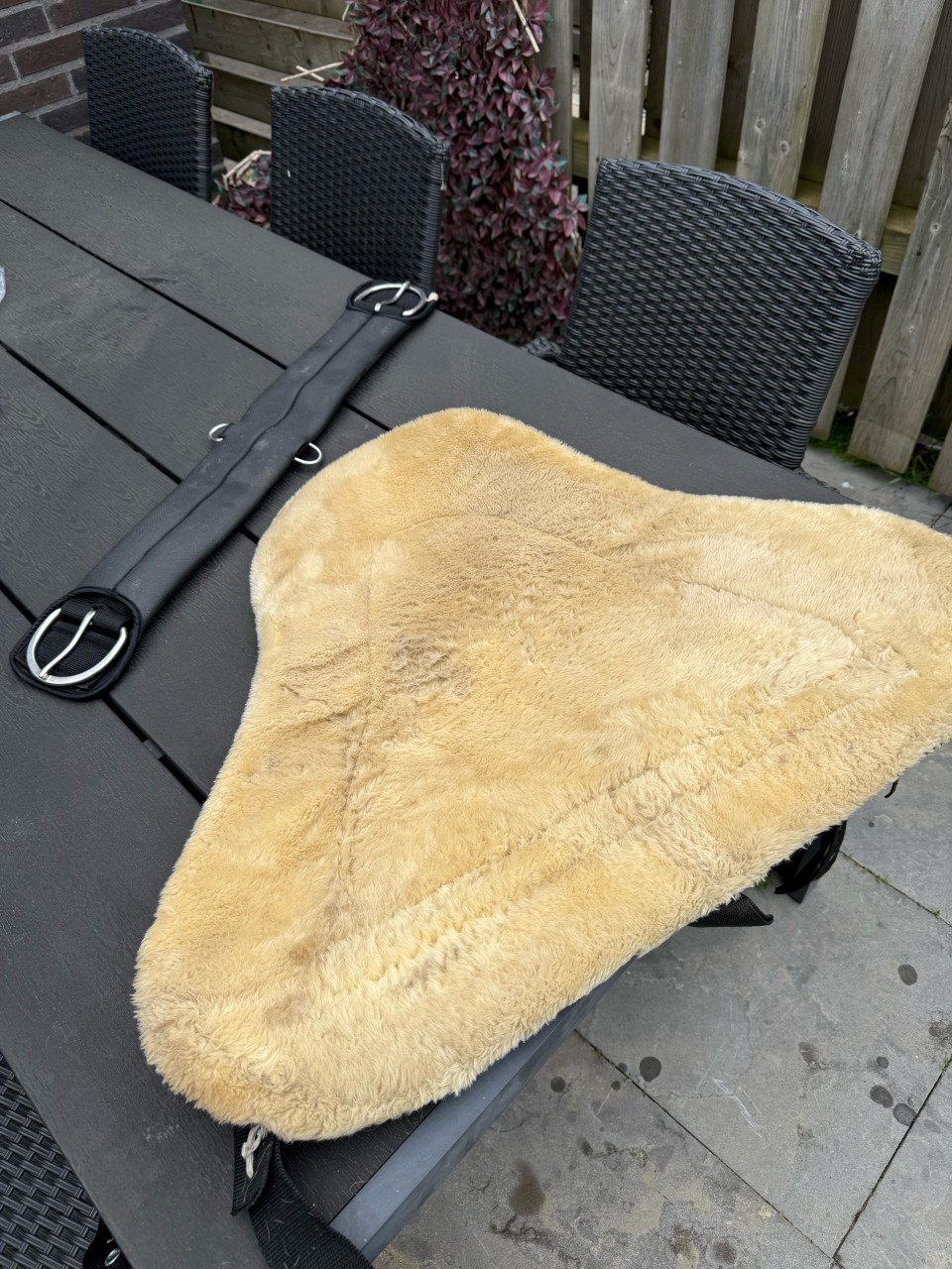Barebackpad paard