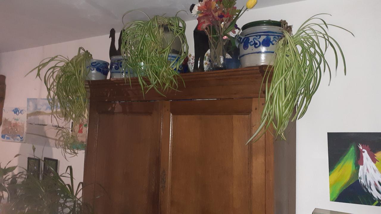 Oude hoge Kast & Diverse Kasten,. Kabinet