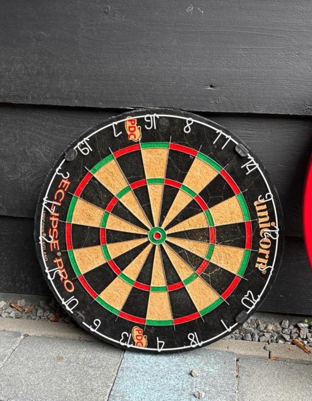 Dartbord inclusief bescherming rand