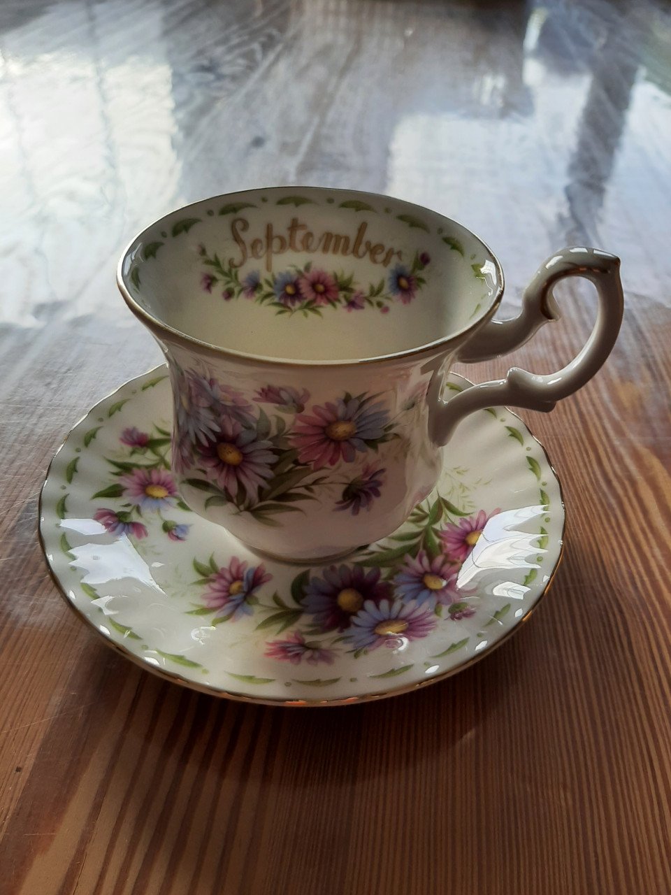 ROYAL ALBERTS , MIGHAELMAS DAISY - MAAND SEPTEMBER